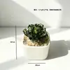 Maceta de Flor de Peonía de Vidrio Zibo Planta Flor de Vidrio Artificial Regalo del Día de la Madre Decoración de Escritorio Coche Artesanía