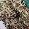 Martelo de Cobre, Cinto de Jade, Grama, Medicina Chinesa à Base de Ervas, Botão Moído, Berinjela Moída, Cinto de Jade, Novos Produtos Secos, Sem Enxofre 500g
