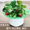 Suporte para Plantio de Morango, Estrutura de Suporte Simples, Suporte para Morangos, Rack de Bandeja de Flores para Jardinagem Anti-Podridão e Anti-Queda