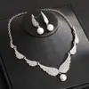 Set de Aretes de Perla con Alas de Diamante y Cadena para Clavícula Estilo Palacio Retro Lujo Ligero Collar de Gama Alta para Mujer Venta al por Mayor