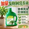 Árvore da Fortuna Solução Nutritiva Fertilizante Fertilizante Especial Plantas Verdes de Interior Plantas em Vasos Folhas Amarelas Folhas Murchas Folhas Caindo Prevenção de Podridão das Raízes Fertilizante para Flores Domésticas
