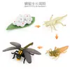 Simulación Transfronteriza Modelo de Araña Real Unicornio Insecto Juguetes para Niños Mariposa Abeja Adornos de Animales