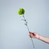 Piedra Verde Bambú Verde Pompón Flor Artificial con Tacto Suave, Estilo Wabi-Sabi Prop de Fotografía para el Hogar Chino Decoración Arreglo Floral Adorno