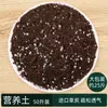 Tierra Nutritiva Carnosa Siembra de Verduras Cultivo de Flores Tierra Universal para Plantar Flores Tierra Transpirable para Plantar Flores Hogareña Perlita Puerro