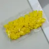 Nuevo Estilo Copa de Pegamento para Extensiones de Pestañas de Trébol de Cuatro Hojas, Copa de Pegamento con Forma de Corazón, Gotero de Pegamento para Pestañas de Tatuaje, Copa de Pegamento Desechable
