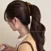 Pinza de Plátano Gradiente de Gato Lindo Coreano Francés 2025 Nuevo Popular Clip Vertical para Cola de Caballo Alta Clip Retorcido Pasador