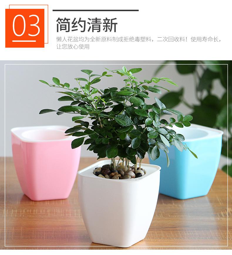 实色彩方盆_13.jpg