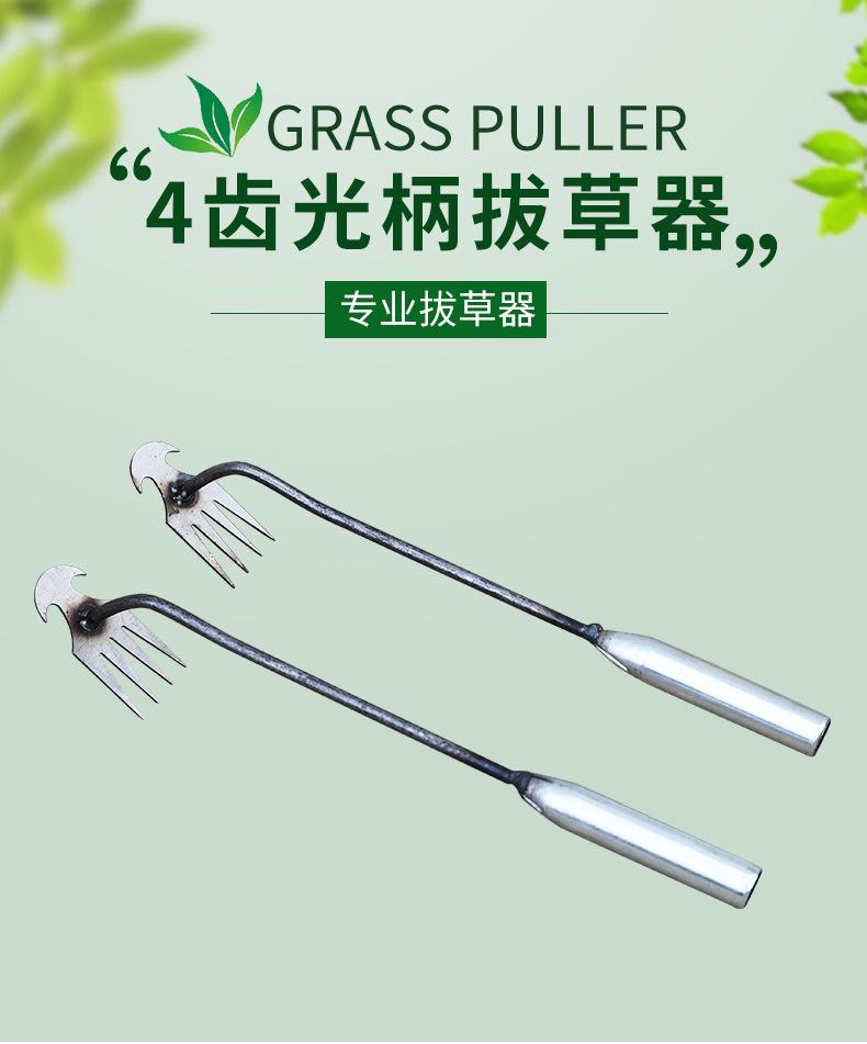 详情_01.jpg