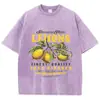 Camiseta Feminina Oversized Gola O de Algodão Lavado Estampa Fresca de Limão de Verão, Top Casual de Manga Curta Vintage Estilo de Rua
