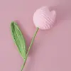 Celebridad de Internet Gordita Tulipán de Lana Flor Terminada Estudiante Deportivo Cafetería Deportiva Hombres Rectos Enviar Novia Amante Ramo