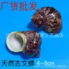 Concha de Caracol Natural Caracol Antiguo Patrón Antiguo de Caracol Ojo de Gato Caracol Manualidades Concha de Repuesto para Cangrejo Ermitaño Decoración para Acuario