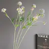 Plantas Verdes de Nicho, Fruto de Rícino, Bolas de Neve Mini de Plástico, Grãos de Arroz, Buquês Estilo Floresta Nórdica, Fruto de Rícino Artificial, Adereços de Fotografia