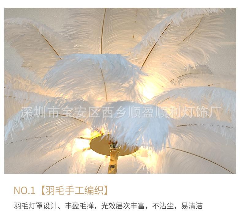 描述图_19.jpg