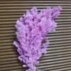 Pino de Penglai de Yunnan Flor Eterna Ramo de Flores Secas Decoración del Hogar Ramo Hecho a Mano Materiales DIY Suministros para Floristería Al por Mayor