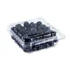Caixa de Embalagem de Frutas Mirtilo 125g Caixa Retangular Transparente de Plástico Descartável Caixa de Amora Fruta Amora Framboesa