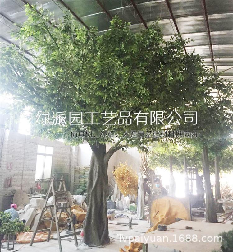 榕树051.jpg