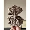 Pinza para el cabello con lazo y estampado de leopardo estilo coreano, nuevo estilo de alta gama, pinza retorcida para moño en la parte posterior de la cabeza, accesorios para el cabello con temperamento versátil, venta al por mayor