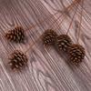 1-18CM Piña Decoraciones Creativas de Navidad Colgante Accesorios para Disparos Flor Seca Pinus tabulaeformis en stock Mayoreo