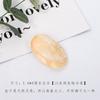 Adereços para fotografia de coral natural em Cyber Celebrity Nail Art Ornamentos coreanos Acessórios Concha Concha Adereços para fotografia