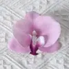 Cabezas de flores artificiales de orquídea mariposa, materiales para flores de pared, materiales para pasadores y accesorios para el cabello hechos a mano para DIY, piezas de flores y accesorios de pétalos para decoración de bodas