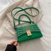 2024 Inverno Nova Moda Francesa Nicho Design Bolsa de Viagem Personalizada Este Ano Popular Bolsa Pequena Quadrada Crossbody