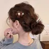 Grampo Lateral Clareador Outono/Inverno Feminino Retrô Sem Costura High-End Grampo para Franja Estilo Coreano Atmosfera Fashionável Grampo de Uma Palavra Acessórios de Cabelo