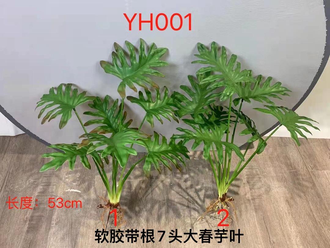 微信图片_20211128180346_副本.jpg