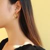 Estilo Ins Europeo y Americano Frío Temperamento Retro Pendientes Doble C para Mujer Acero de Titanio Oro de 18k Pendientes de Año Nuevo F375