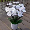 Flores de Seda para Sala de Estar Ramos de Flores Secas Flores Artificiales de Plástico Flores de Simulación Set de Orquídeas Phalaenopsis Adornos Plantas en Maceta para el Hogar Adornos Pequeños de Interior