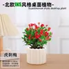 Las plantas en maceta son fáciles de cuidar en las salas de estar interiores.; plantas verdes hidropónicas, bonsáis creativos, plantas de la suerte, plantas pequeñas en maceta y árboles de la fortuna son todas excelentes opciones