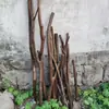 Galhos Secos de Cor Vintage Natural e Varetas de Madeira para Tapeçaria, Cabides de Loja de Roupas, Hastes de Dossel de Cama para Pousadas, Decorações de Divisória e Molduras de Madeira Seca