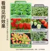Lámpara de platillo volante de 36W lámpara para plantas de invernadero lámpara de crecimiento de vegetales luz de relleno LED de espectro completo para interiores imitación sol