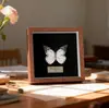 Especimen de Mariposa Real Colgante de Madera Estilo Nórdico Simple Moderno Regalo de Cumpleaños Marco de Fotos de Madera Simple