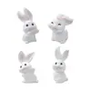 Paisaje en miniatura, figura linda de conejo zanahoria, adorables accesorios de decoración DIY para casa de muñecas, adornos en miniatura para escritorio