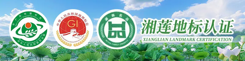 详情-绿色_01
