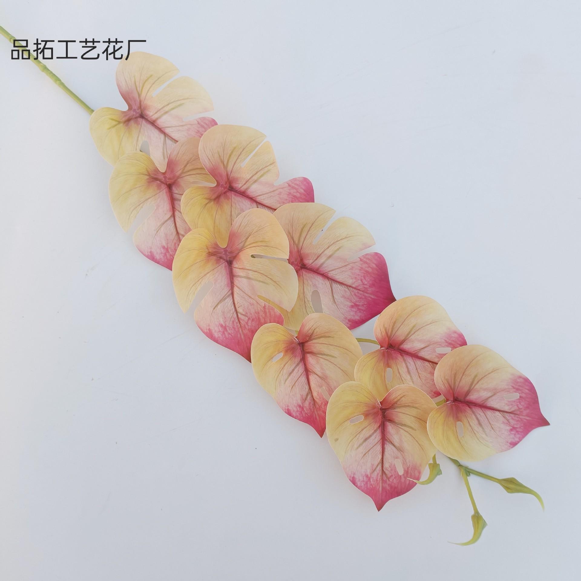 7724d8030b4a8736cab0dbc9135ef1