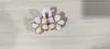 Pinza de Flor Estilo Coreano 2026 para Mujer, Pinza de Tiburón Doble Flor de Acrílico, Elegante Accesorio para el Cabello para Medio Recogido, Pinza de Cabello Fresca y Dulce
