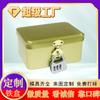 Cajas Personalizadas de Hojalata de Fábrica de Dongguan con Candados de Combinación, Cajas de Hojalata de Caja Ciega con Figuras de Dibujos Animados, Cajas de Hojalata Cuadradas con Tapa abatible, Cajas Vacías