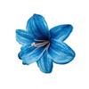 Guirnalda de Flor de Lirio Hemerocallis Tocado Paquete de Material para Pasador Conjunto para Salón de Bodas Pared de Flores Arreglo Floral Adornos para Fotografía