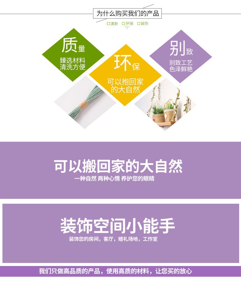 织带_03.jpg