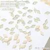 Maillard Taladro de Uñas Broca de Fondo Plano Broca de Forma Especial Mocha Verde Carnoso Encaje Aurora Mini tamaño pequeño Accesorios para Taladro de Uñas