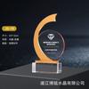 Nuevo Trofeo de Cristal Impresión 3D Material Nuevo Creativo Medalla Hecha a Medida Impresión a Color Reunión Anual Corporativa Premio de Reconocimiento Destacado