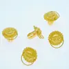 Alça para Caixa de Vinho Fechadura Selada para Caixa de Vinho Soquete Antigo Cabeça de Besta Plástica Chinesa Embalagem Fivela de Cabeça de Leão Dentada