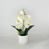 Flores Phalaenopsis Simuladas de 5 Flores en Maceta Decoración para Salón de Bodas Adornos de Flores Artificiales de Plástico Planta Verde de Escritorio Bonsái
