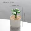 Adornos pequeños de esmalte de colores Zibo, trébol de cuatro hojas, cactus suculento en maceta, manualidades de vidrio para escritorio de oficina, regalo