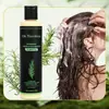 Tk Popular Shampoo de Alecrim Inglês Shampoo de Alecrim Shampoo para Crescimento Capilar Fábrica Personalização