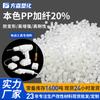 Polipropileno Cor Natural Modificado com 20% de Reforço de Fibra, Resistente ao Calor e Não Deformável Polipropileno Carcaça de Ferramenta Elétrica Matéria-Prima Grânulos de Plástico PP