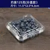 Caixa de Embalagem de Frutas Mirtilo 125g Caixa Retangular Transparente de Plástico Descartável Caixa de Amora Fruta Amora Framboesa