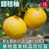 Mudas de Laranja Doce e Pomelo para Dropshipping, para Plantio em Vasos no Norte e Sul, Plantio em Quintal, Mudas de Cítricos Laranja Doce Sem Sementes Enxertadas