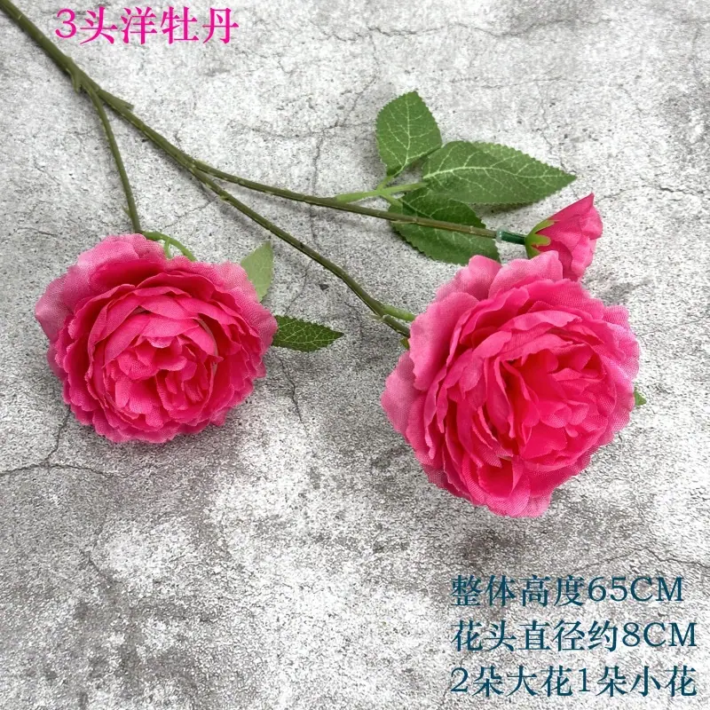 微信图片_20230414124202.jpg